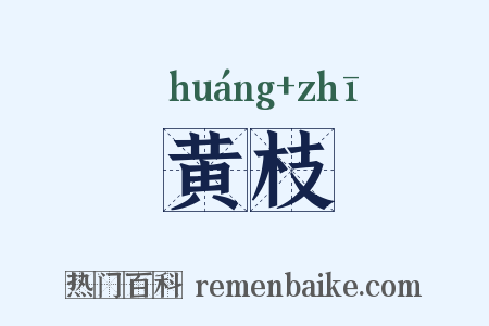 黄枝是什么意思的图片
